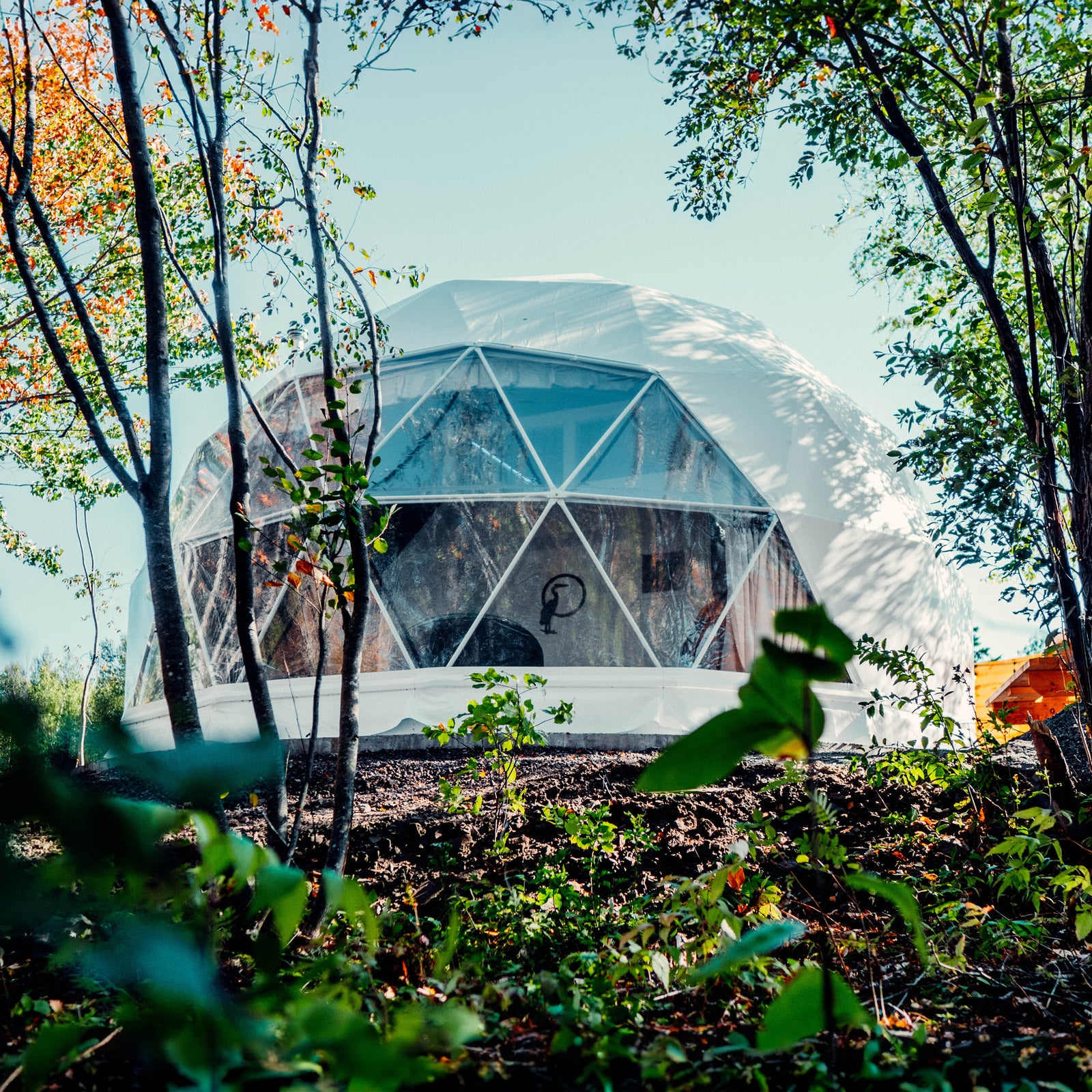 Luna 7m Stargazer Element – Preconfigured Geodesic Dome – 415 Sq Ft