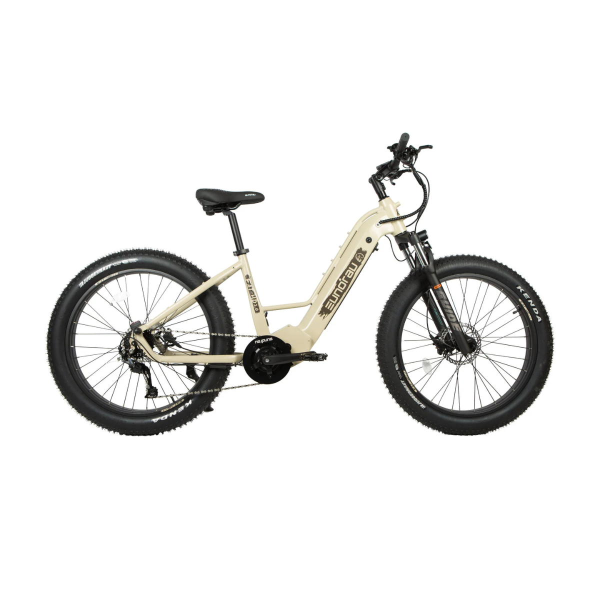 Eunorau Fat HD 2.0 Step-Thru eBike – 15.6AH 1,000W